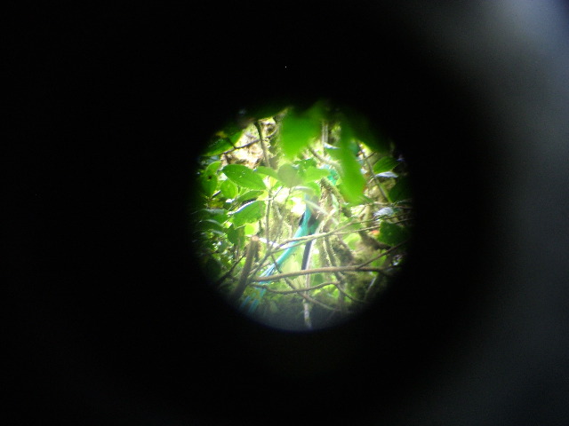 DSCF8634.JPG