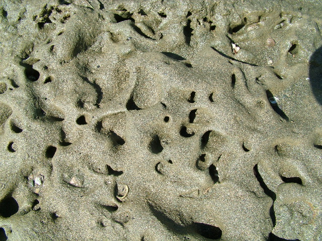 DSCF9045.JPG