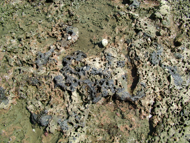 DSCF9046.JPG