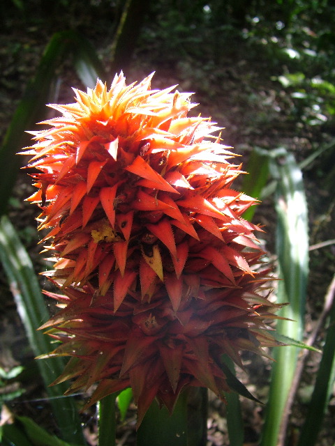 DSCF9049.JPG