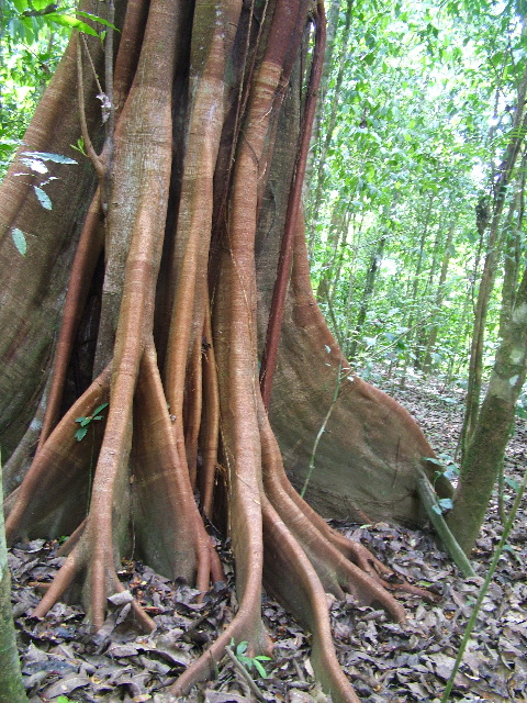 DSCF9050.JPG