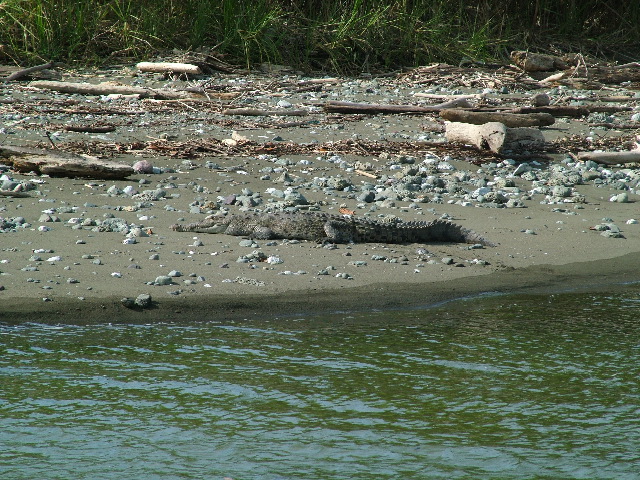 DSCF9053.JPG
