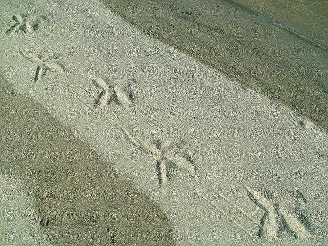 DSCF9054.JPG