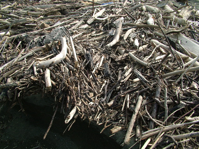 DSCF9058.JPG