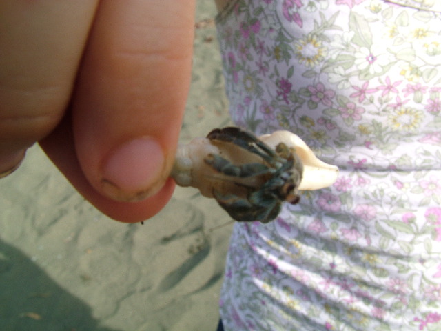 DSCF9062.JPG