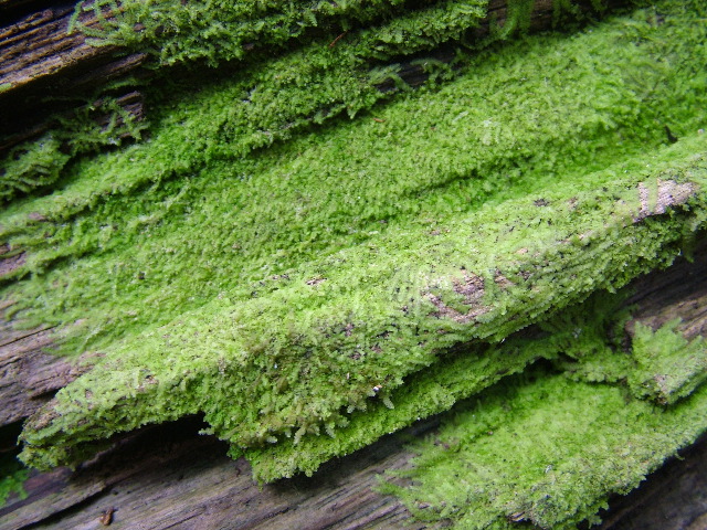 DSCF9066.JPG