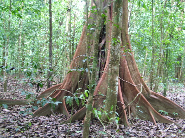 DSCF9067.JPG