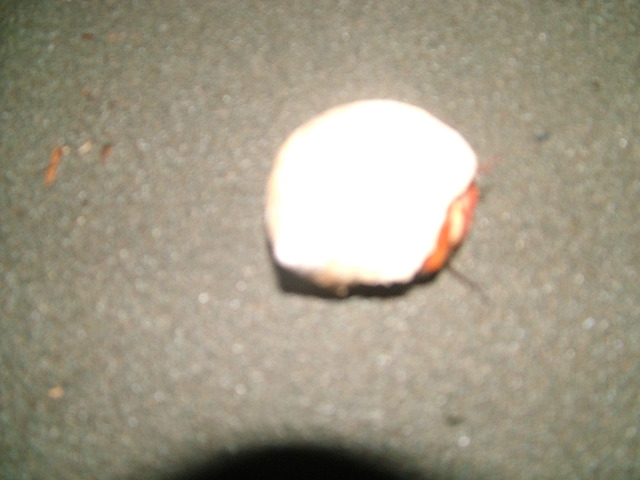 DSCF9071.JPG