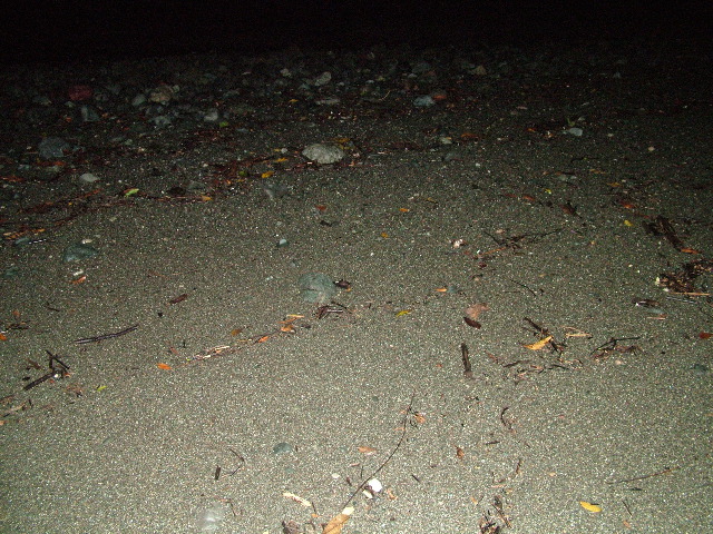 DSCF9072.JPG