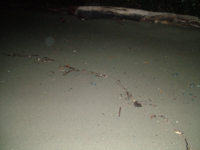 DSCF9073.JPG