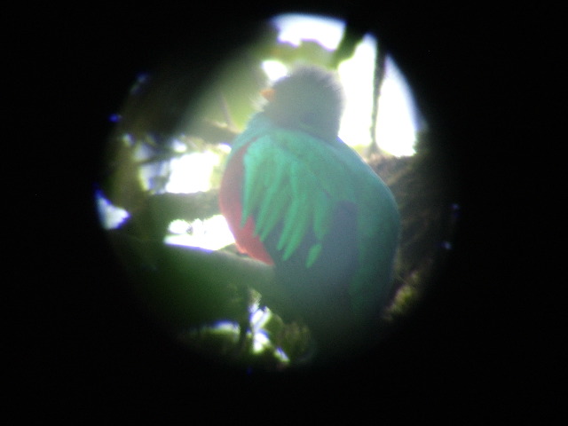 DSCF8637.JPG