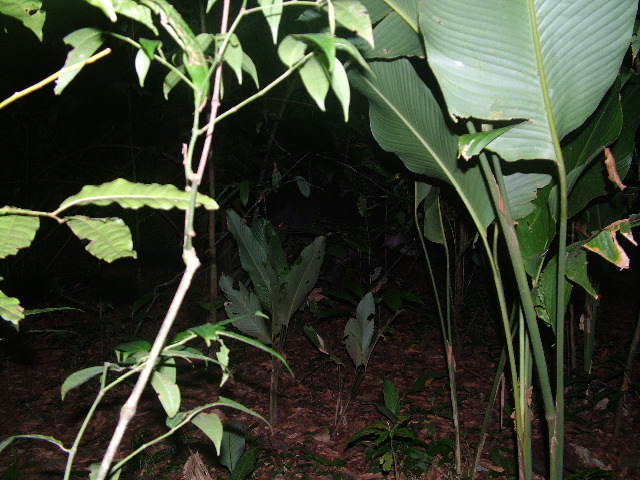 DSCF9078.JPG