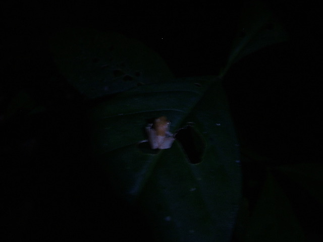 DSCF9079.JPG