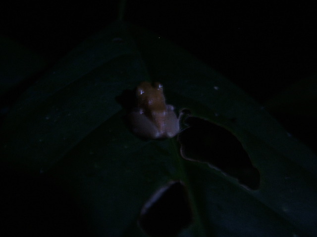 DSCF9080.JPG