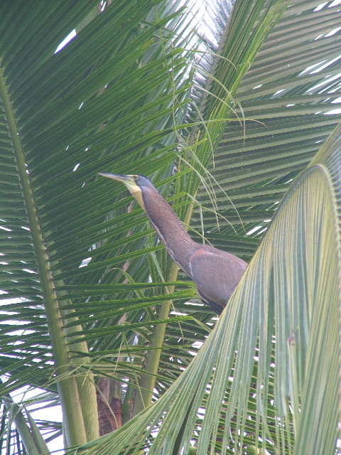 DSCF9087.JPG