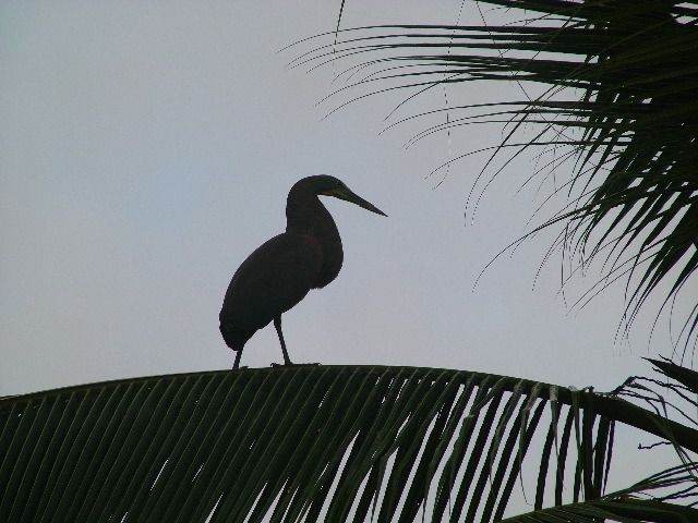 DSCF9088.JPG