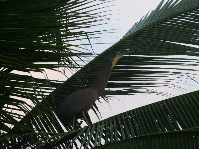 DSCF9089.JPG