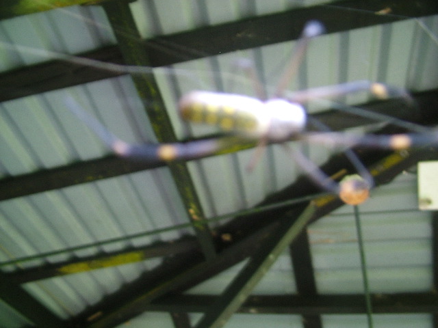 DSCF9090.JPG