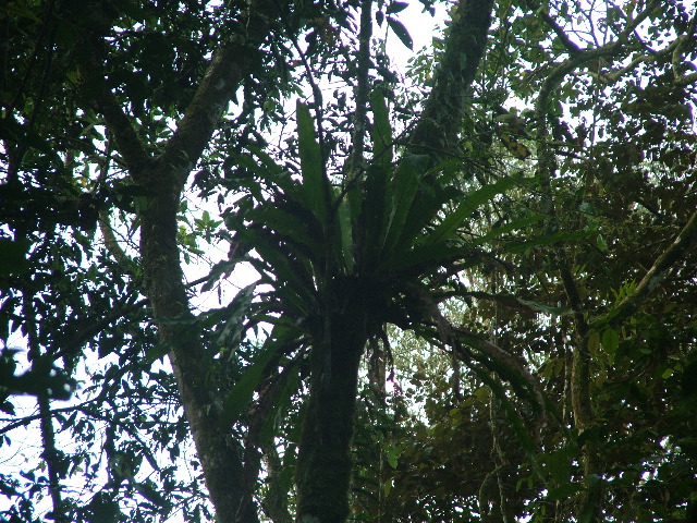 DSCF9092.JPG