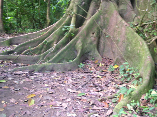 DSCF9093.JPG