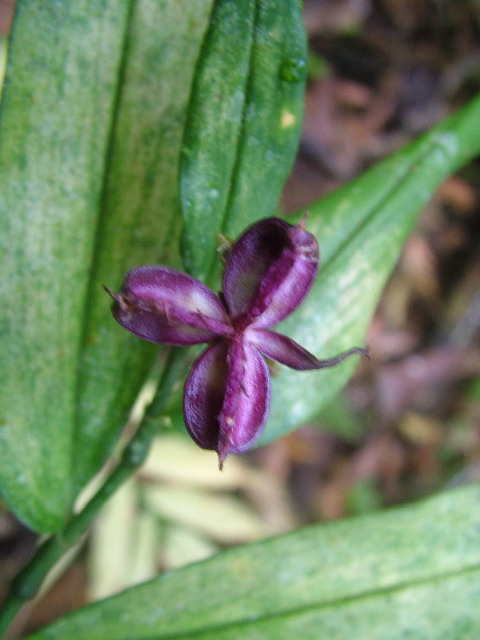 DSCF9094.JPG