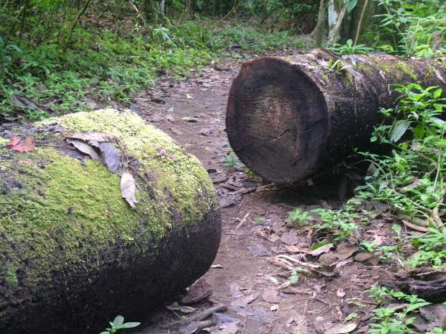 DSCF9095.JPG