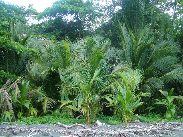 DSCF9101.JPG