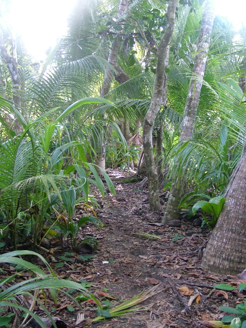 DSCF9104.JPG