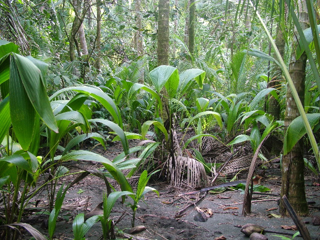 DSCF9105.JPG