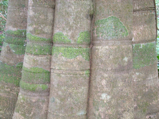 DSCF9106.JPG