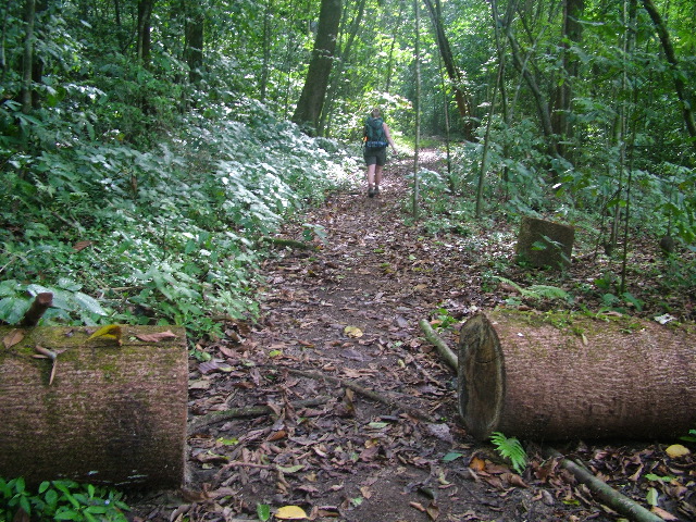 DSCF9107.JPG
