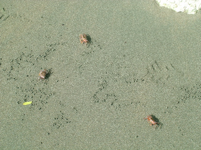 DSCF9109.JPG