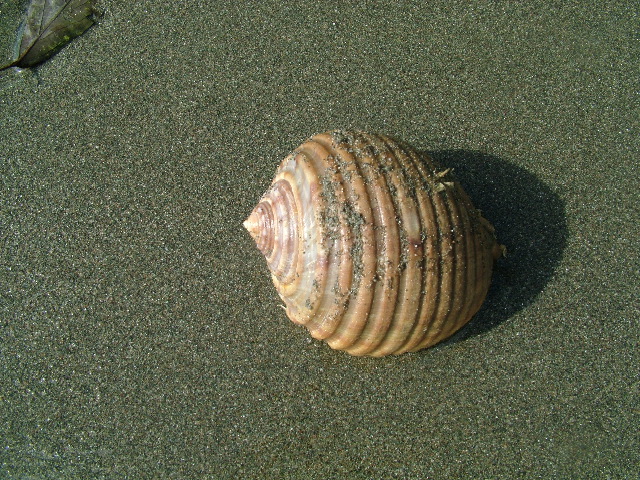 DSCF9110.JPG
