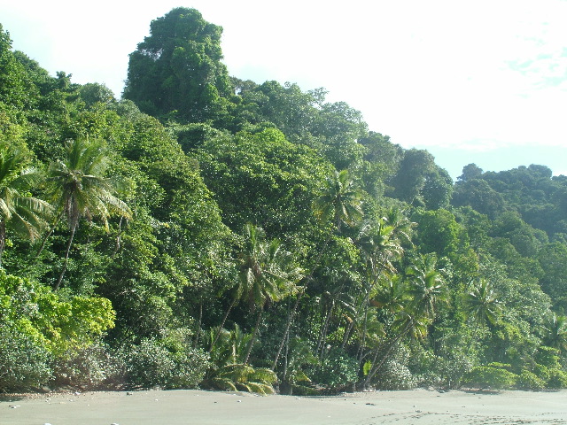 DSCF9111.JPG