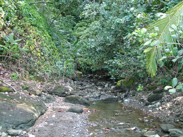 DSCF9112.JPG
