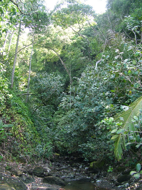 DSCF9113.JPG