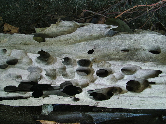 DSCF9114.JPG