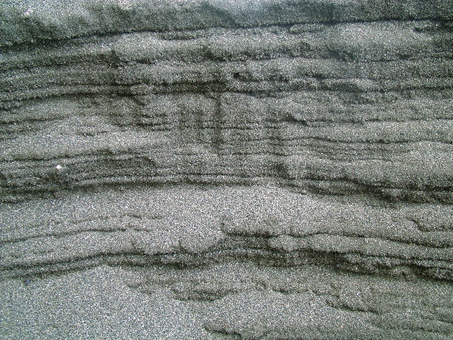 DSCF9115.JPG