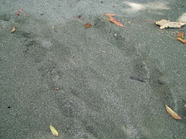 DSCF9116.JPG