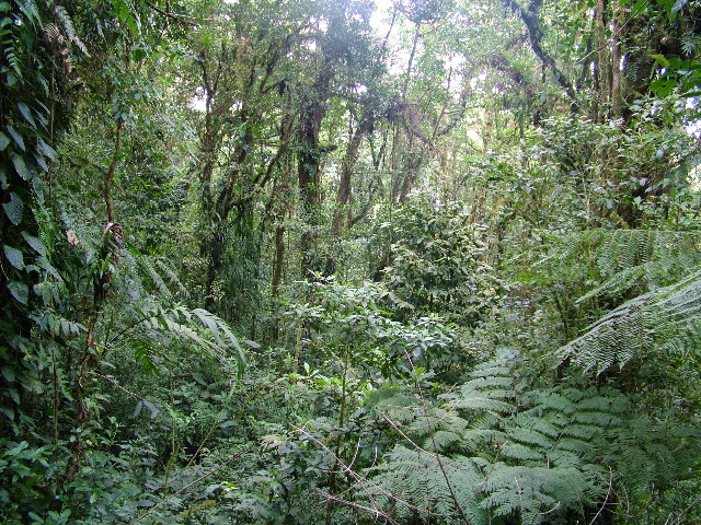DSCF8641.JPG