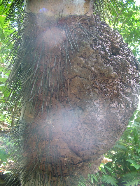 DSCF9119.JPG