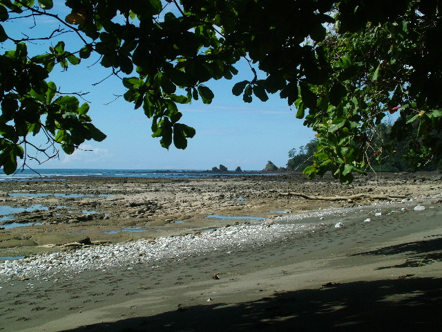 DSCF9121.JPG