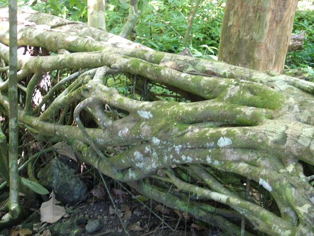 DSCF9122.JPG