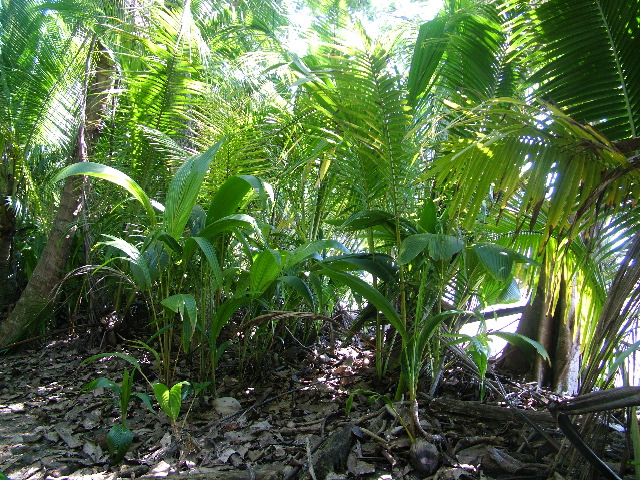 DSCF9124.JPG