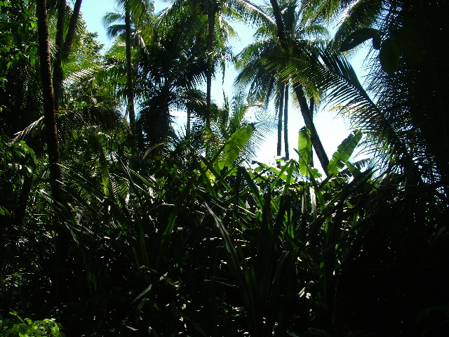 DSCF9125.JPG