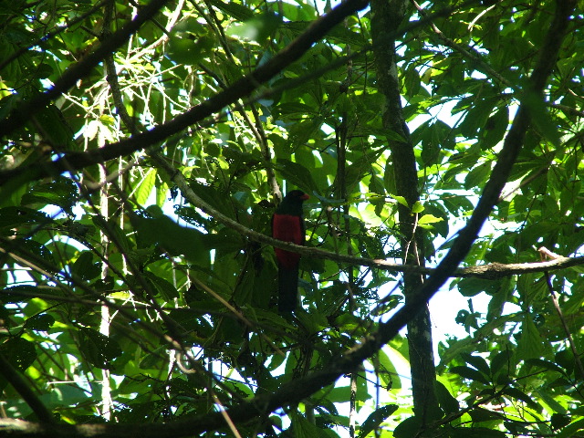 DSCF9126.JPG