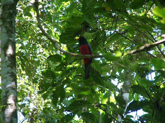 DSCF9127.JPG