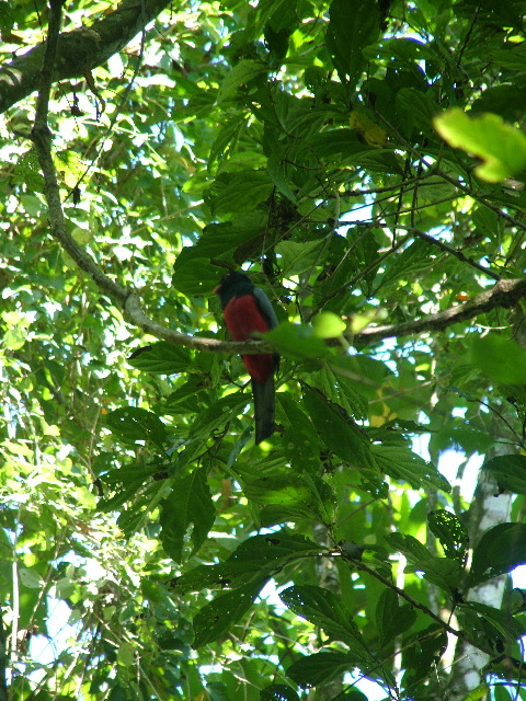 DSCF9128.JPG