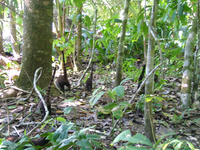 DSCF9131.JPG