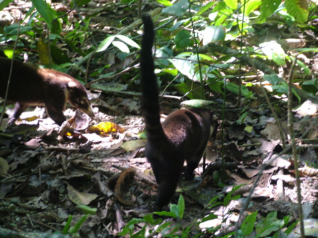 DSCF9132.JPG